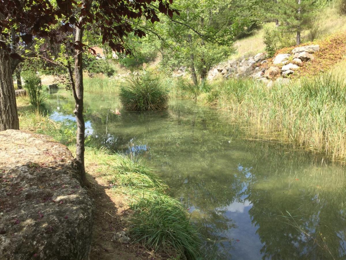 Mazet Tournesol Aux Portes Du Verdon Saint-Martin-de-Bromes Экстерьер фото