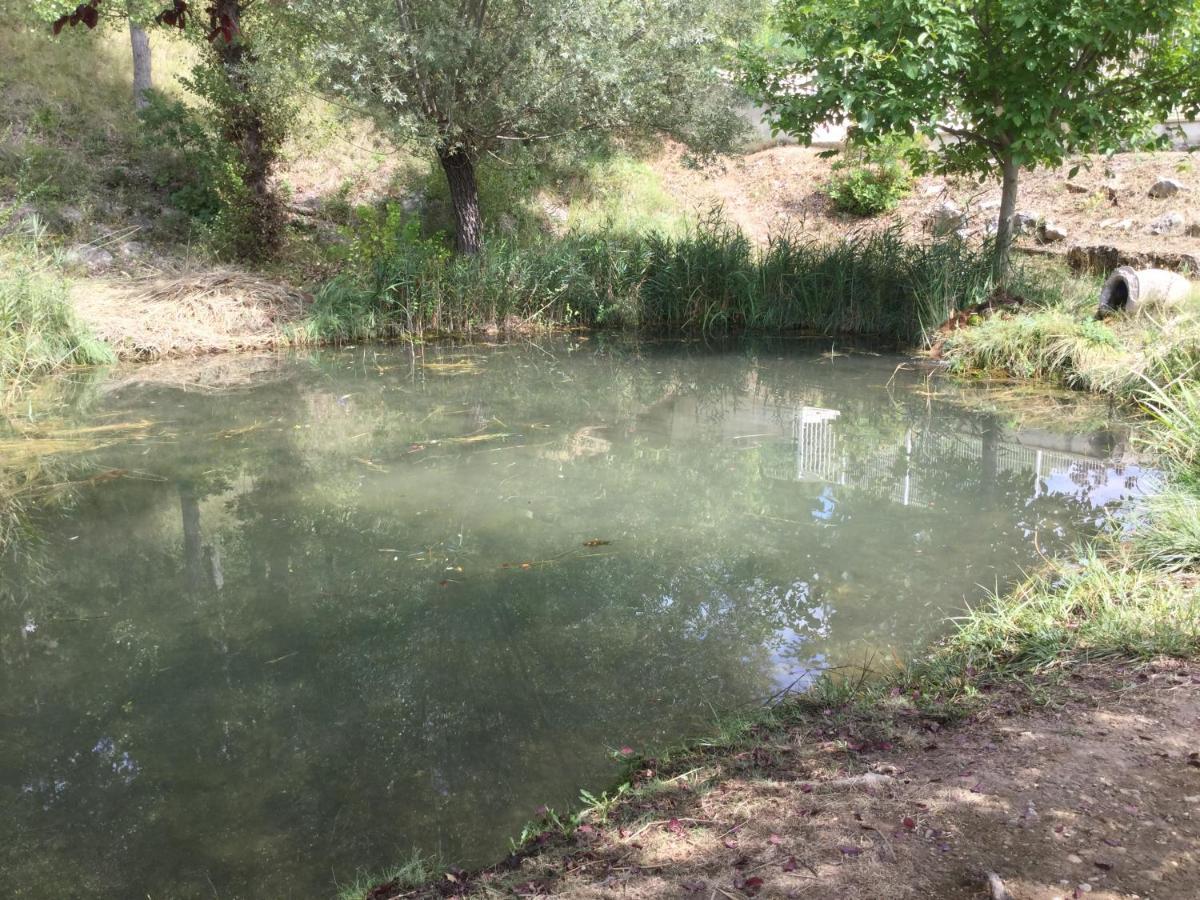 Mazet Tournesol Aux Portes Du Verdon Saint-Martin-de-Bromes Экстерьер фото